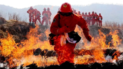 119�����տ옷��